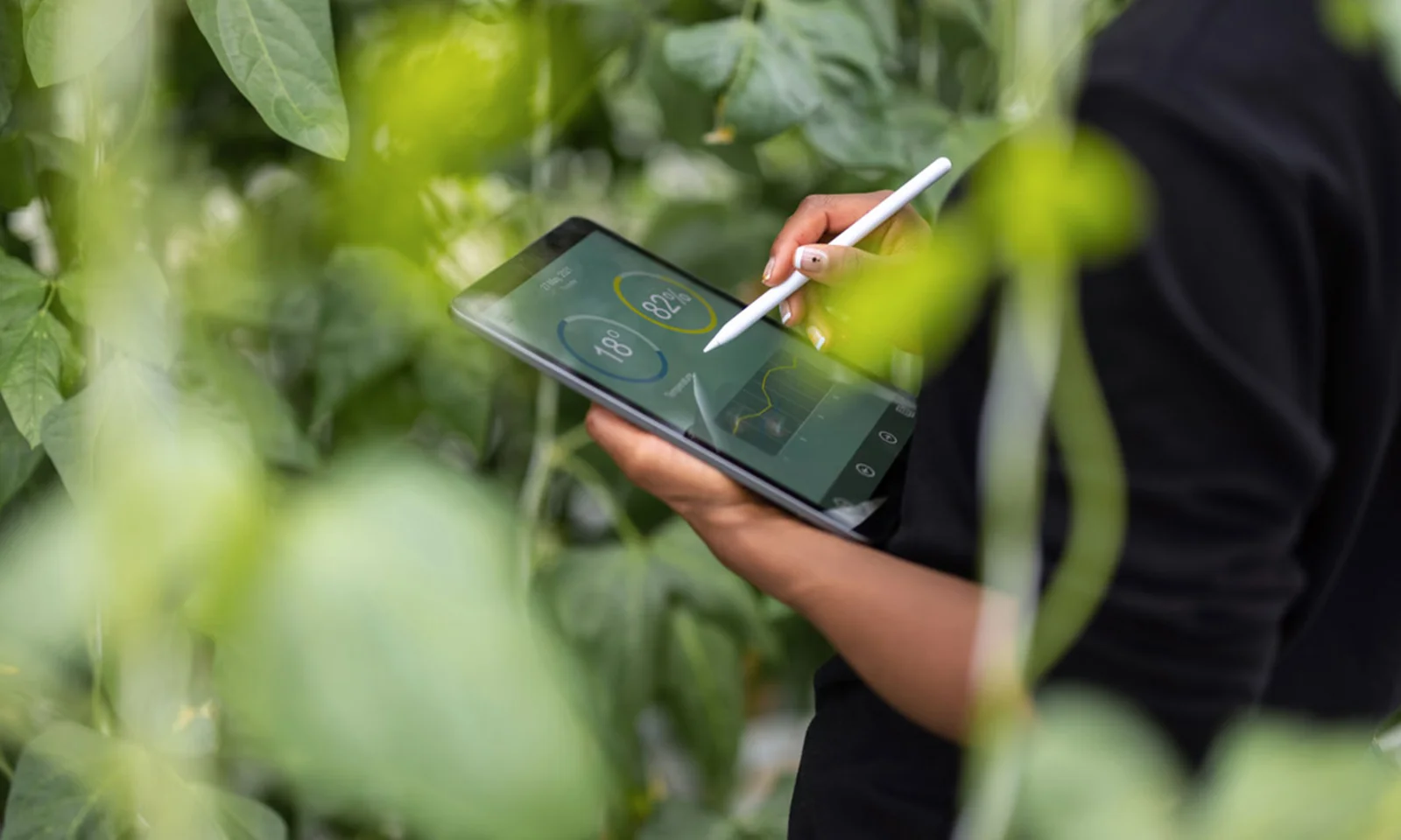 Uma pessoa usando um tablet para monitorar métricas ambientais em um ambiente agrícola exuberante, representando o desempenho ESG
